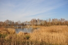 av6