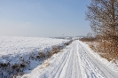 winter4